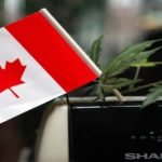 Cannabis Data: Proceedings till date of Canadian pot legalization system