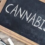 Trailblazing the Cannabis Frontier: Jesse Ventura’s Edible Endeavor