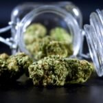 Hull’s Referendum Rerun: Clarifying Marijuana Sales Legislation