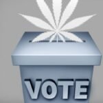 Follow Marijuana Election Results Across Florida, Nebraska, South Dakota, North Dakota