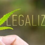 6 Cannabis Industry Legal Cases, Policy Reforms, and Trends to Watch in 2025