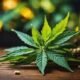 Asake Joins Forces with El Blunto to Launch High-End Cannabis Brand, GIRAN
