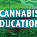 Julie Bevel Becomes First to Offer NCBTMB-Endorsed Cannabis and CBD Massage Education