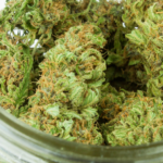 Virginia Passes Recreational Cannabis Sales Bill for 2027