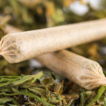 Kentucky Medical Cannabis Hits Roadblocks in Early Rollout