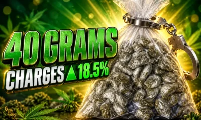 Brazil 40 gram marijuana possession Supreme Court ruling