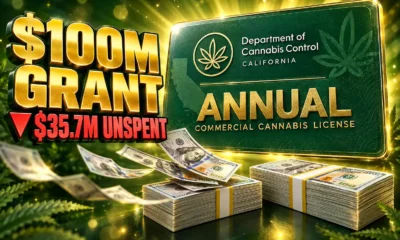 California $100 million cannabis grant unspent funds audit