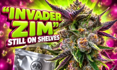 Hoodbaby Invader Zim strain Ball Family Farms drop