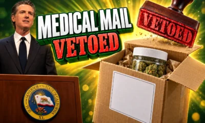 Newsom vetoes California medical cannabis home shipping bill