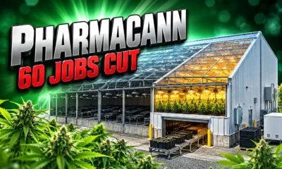 PharmaCann Olyphant facility closure 60 jobs
