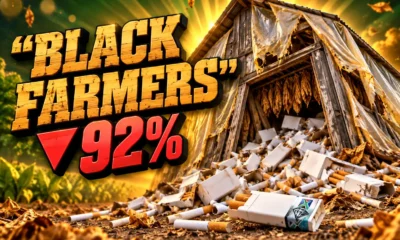 SATTA illicit tobacco black farmers decline South Africa