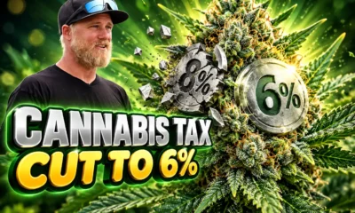 SLO County cannabis business tax cut to 6%