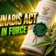 South Africa Cannabis for Private Purposes Act not commenced