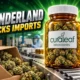 Sunderland medical cannabis factory Curaleaf import processing