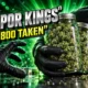 Vapor Kings Warren Ohio $1800 cannabis robbery
