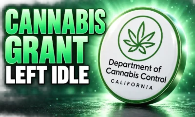 California cannabis grant leftover 35.7 million idle