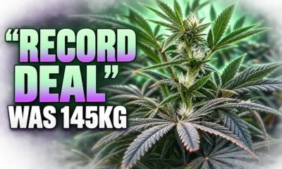 Releaf Glass Pharms 145 kg UK cannabis contract