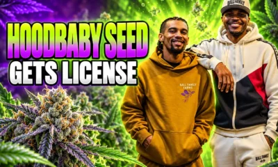 Hoodbaby Invader Zim Ball Family Farms license