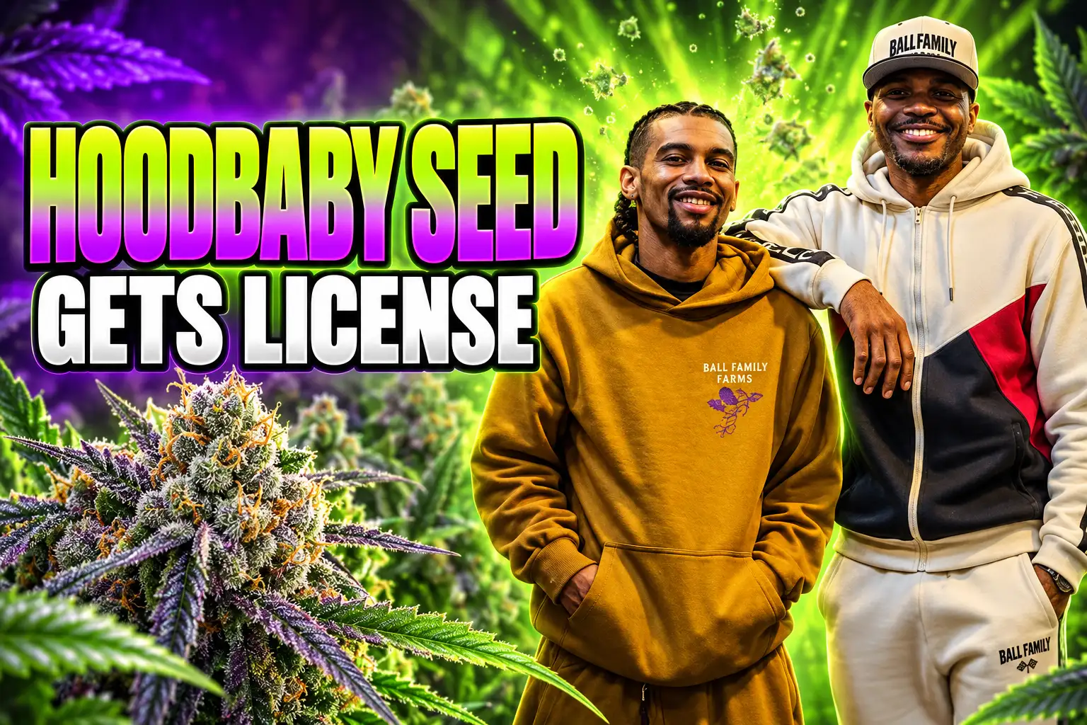 Hoodbaby Invader Zim Ball Family Farms license