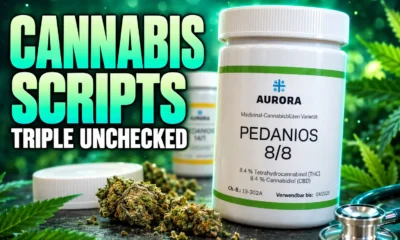 Jersey medicinal cannabis scripts triple before clinic inspection