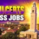 LSU cannabis certificates miss Louisiana jobs