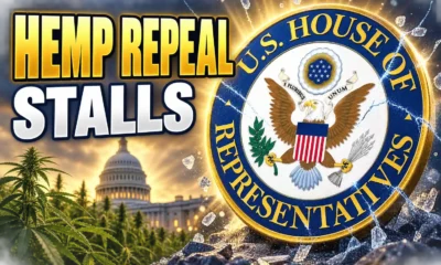 Mace hemp repeal bill stalls in House subcommittee
