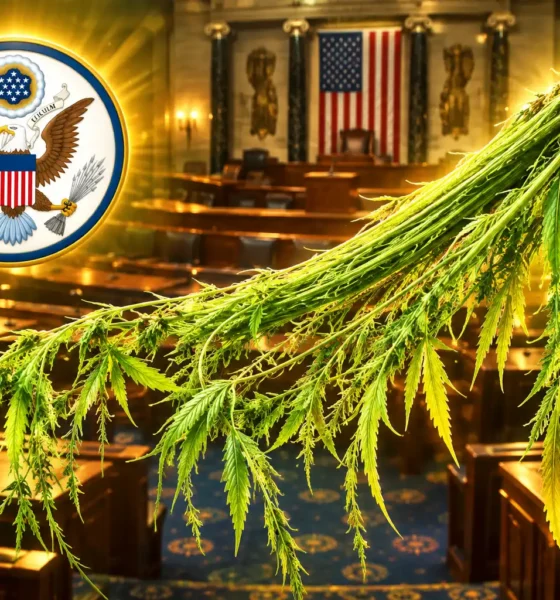 Nancy Mace hemp repeal bill stalls House