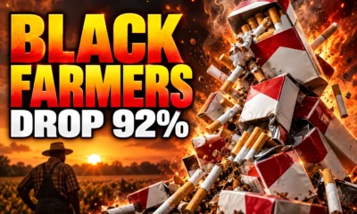 SATTA black tobacco farmers drop 92 percent
