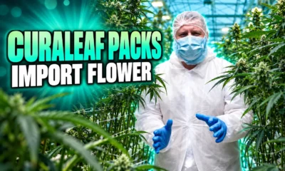 Curaleaf Sunderland packs imported medical cannabis flower