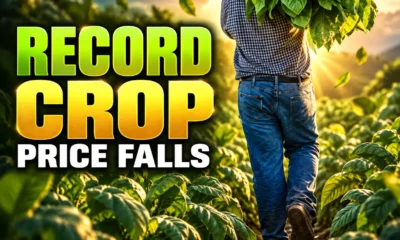 Zimbabwe tobacco record 359 million kg at $2.49